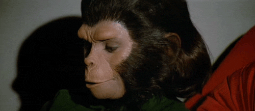 tumblr_msmsui9jFN1qedb29o1_500.gif