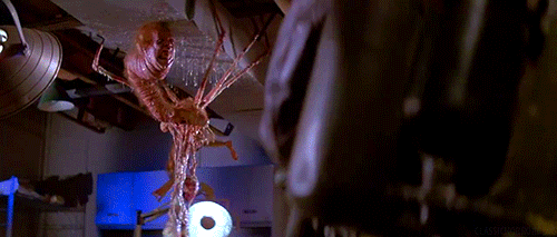 tumblr_n9jqilkXAj1s1v3r1o3_r1_500.gif