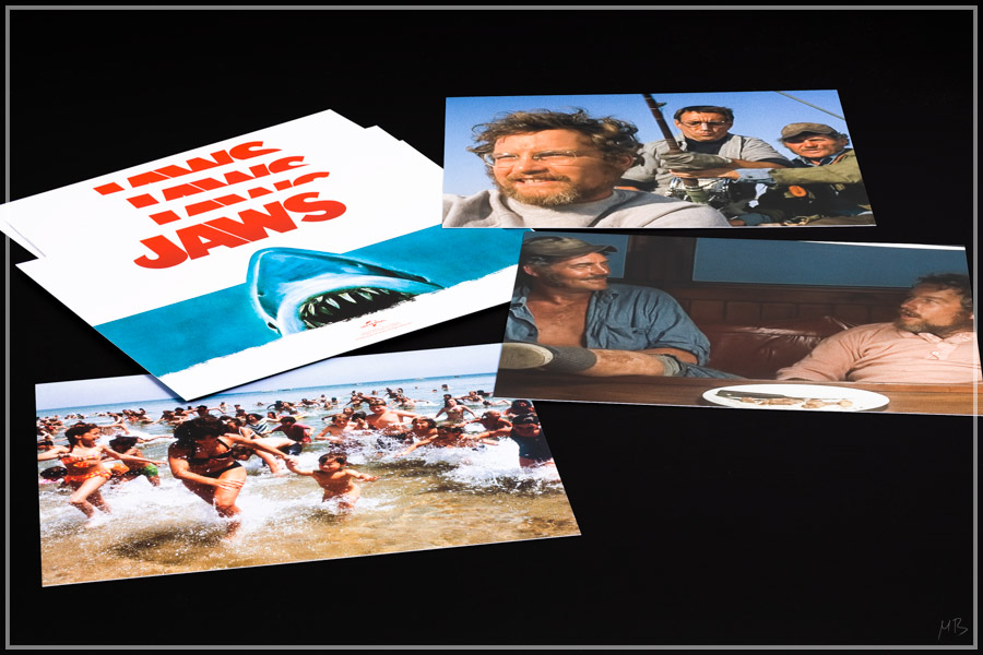 jaws13.jpg