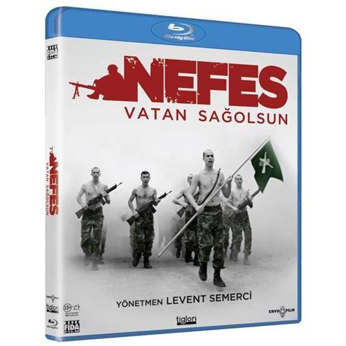 dvdvideo537br.jpg