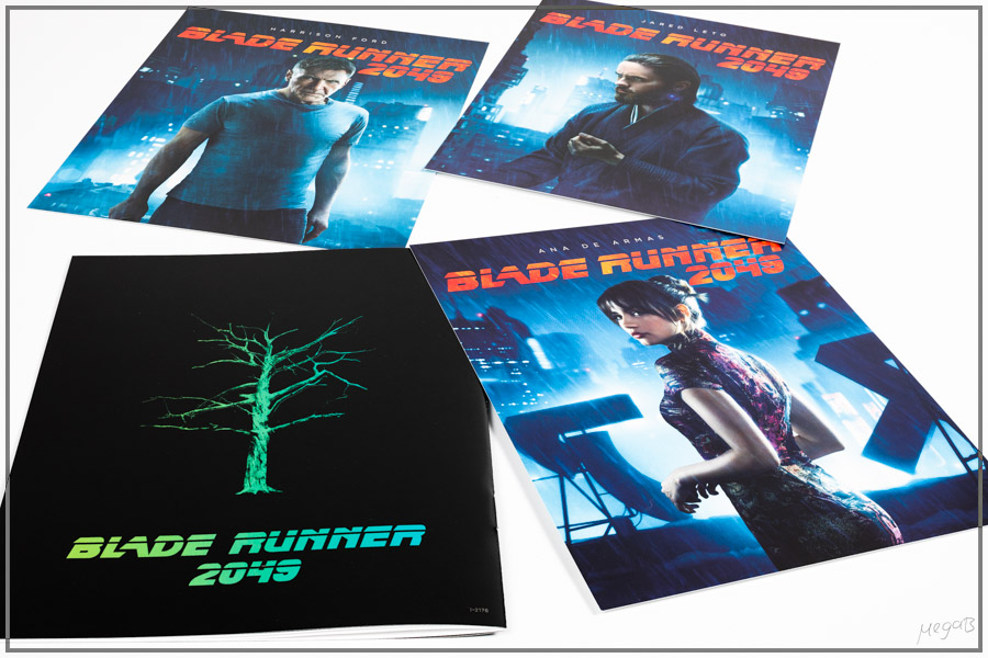 br2049jp8.jpg