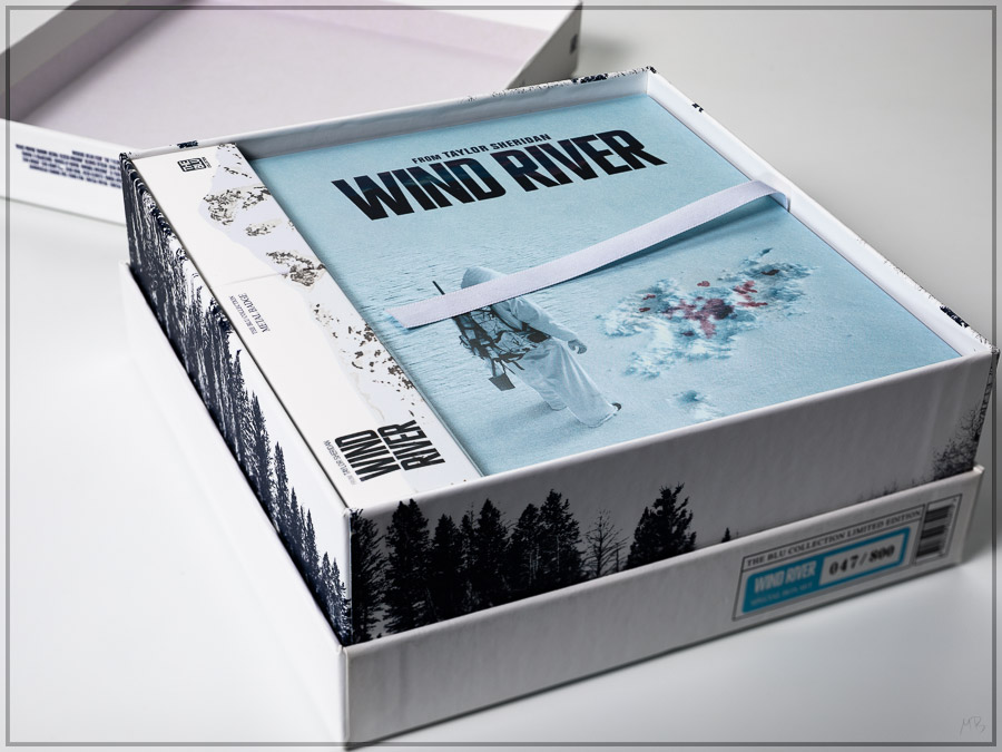 windri02.jpg