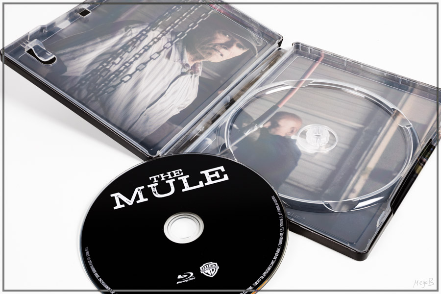 mule3.jpg