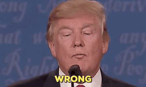 giphy-2.gif