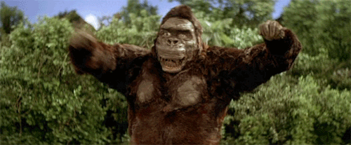tumblr_mbpn0rP4JR1qedb29o1_500.gif