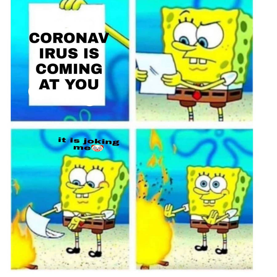 myl6u.jpg