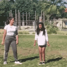 tenor.gif