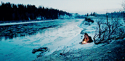 w6QWWknsCnwHK.gif
