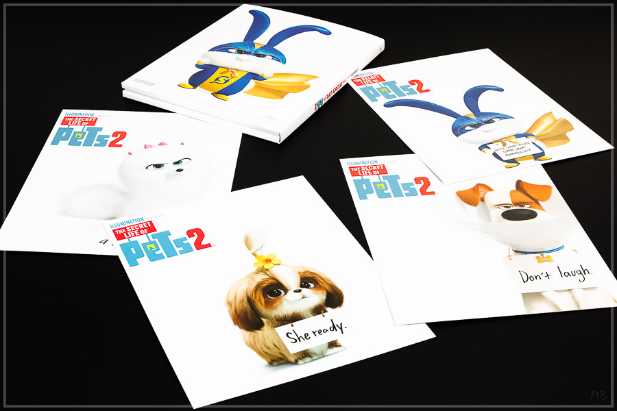 pets2-10.jpg