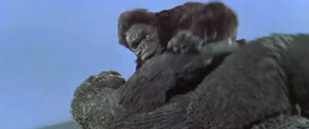 King-Kong-vs-Godzilla-japanese-monster-movies-36994566-448-187.gif