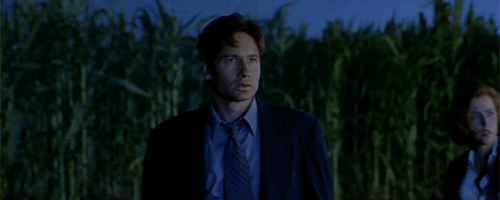 tumblr_oigkreBgic1ulkd8uo5_500.gif