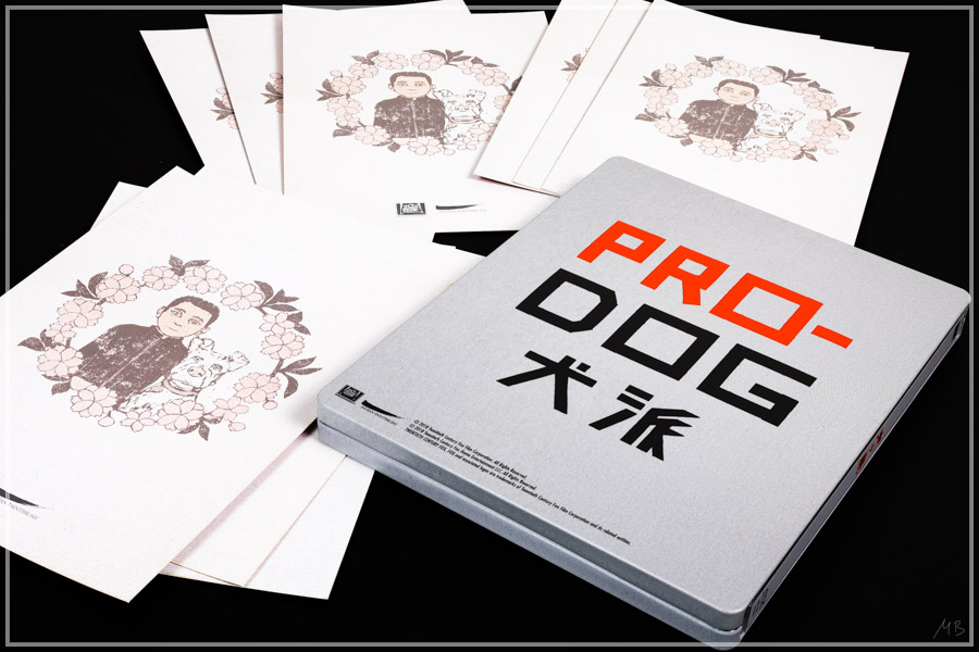 dogi6.jpg
