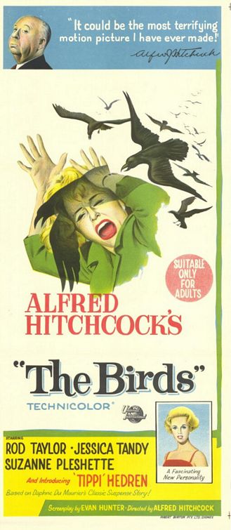 birds_ver4.jpg
