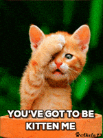 200.gif