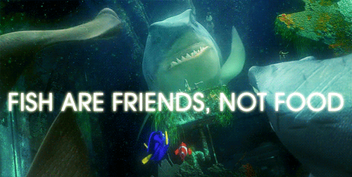 tumblr_m0g5pcVJo21qk5wt0o1_500.gif