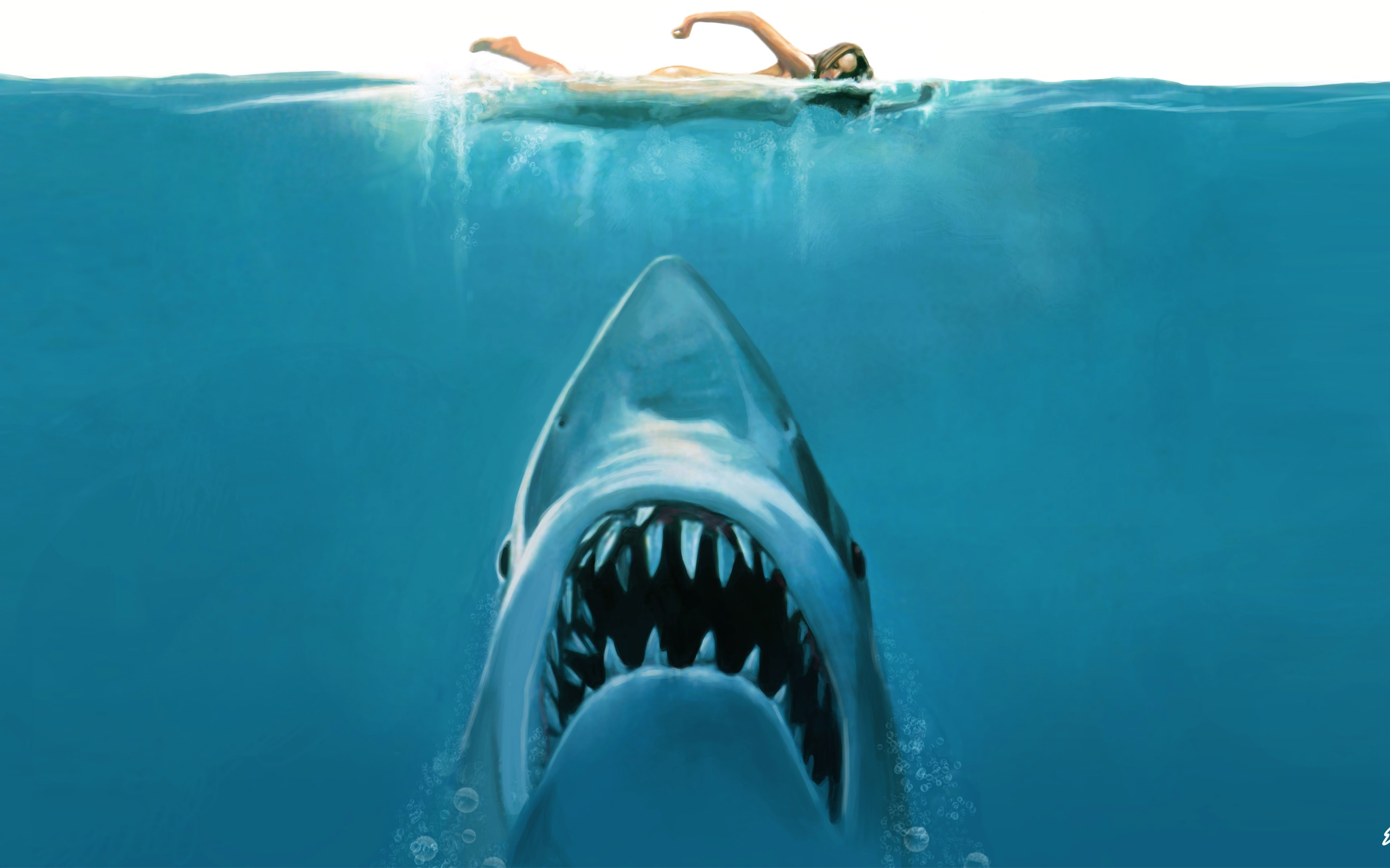 Jaws1.jpeg