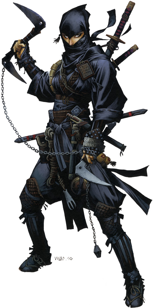 PZO1118-Ninja.jpg