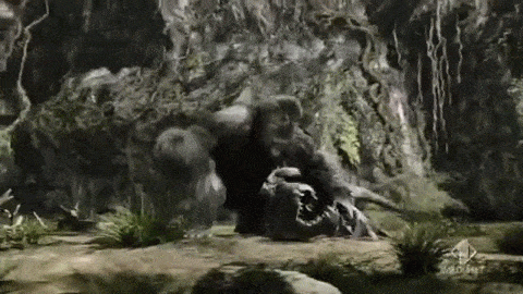 4627390-kr27jk.gif