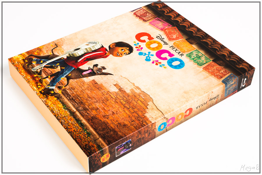 coco11.jpg