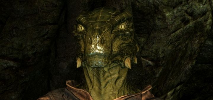 xargonian.jpg.pagespeed.ic.43XkqVGWoT.jpg