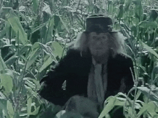 3o6ozrbF6UwoPgZxbq.gif