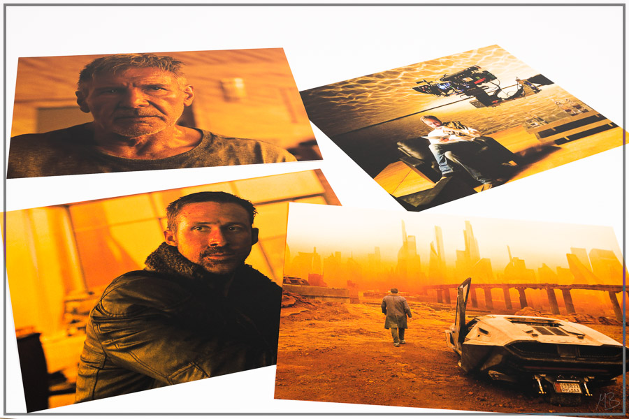 br2049maniacos36.jpg