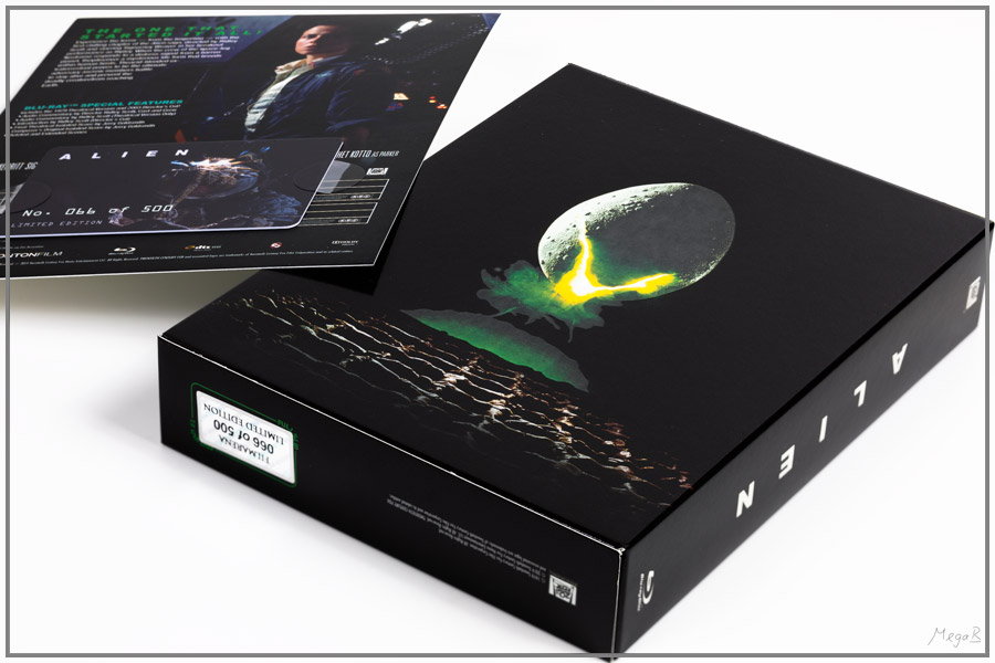 alien02.jpg