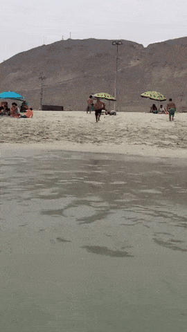 3o7qDUub6lE9XgxFDi.gif