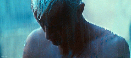 blade-runner-rutger-hauer.gif