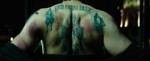 tumblr_oeqw2c1UJt1s05hv8o2_500.gif