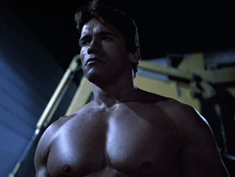 WAmFPjn5CKPrq.gif