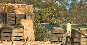 55606EB5-F61A-41D6-BBB1-F1993AF366E4.gif