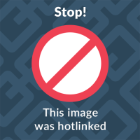 tngmiss.jpg