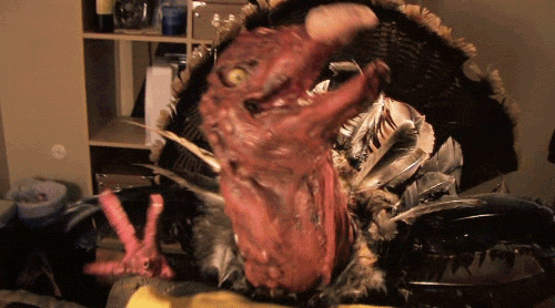 tumblr_mwhjxoMpY21qedb29o1_500.gif