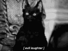 sneakyvi-salem.gif