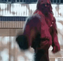 tenor.gif