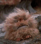 bdsyo8nbjvp3szk8qjc5.gif