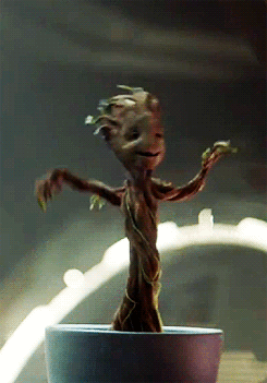 ghanhysqfnjwqqxzgj1i.gif