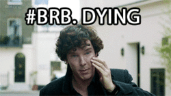 tumblr_m82s8jem7c1rcroveo4_250.gif