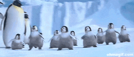200.gif