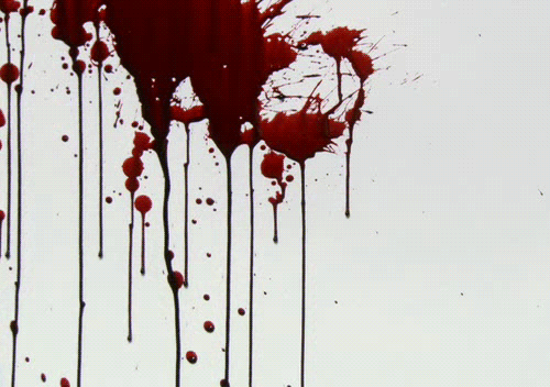tumblr_mwq48za2pd1s07v26o3_500.gif