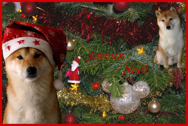 Noel-2010-Hiro2.jpg