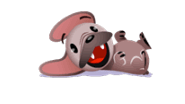 imageedit_10_5898528080.gif