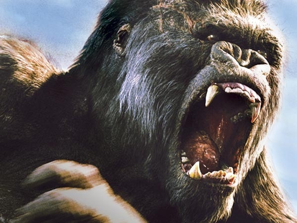 King-Kong-2005-king-kong-2814553-600-450.jpg