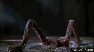 D78zQV.gif