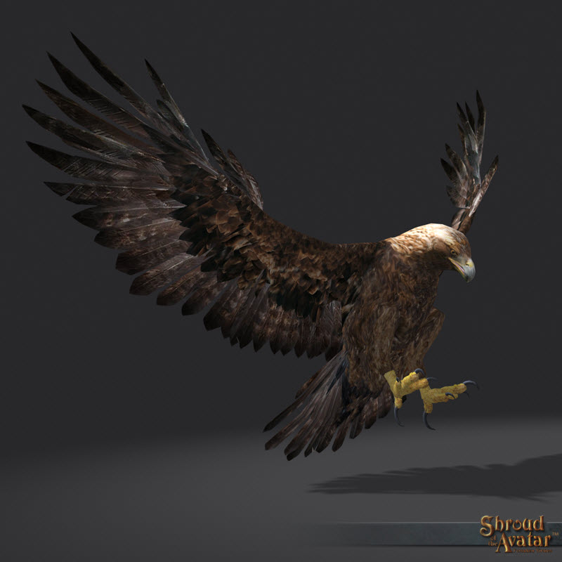 SotA_GoldenEagle_Pet.jpg