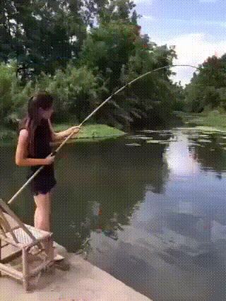 0c0ed98f42fd1064e44c2eaac9d68170.gif