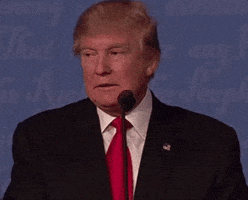 Donald Trump GIF by Election 2016