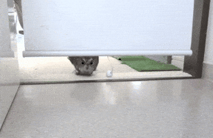 Running Late Whats Up GIF