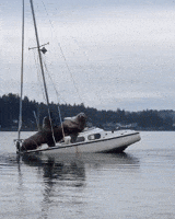 New Year Omg GIF by JustViral.Net
